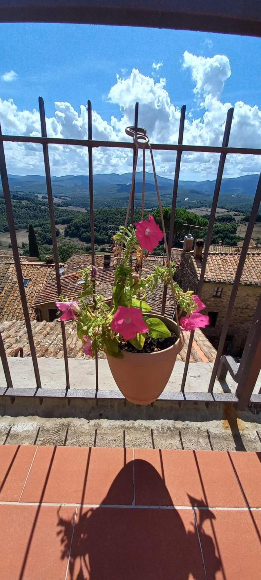 La Casa Del Gallo Radicondoli Extérieur photo